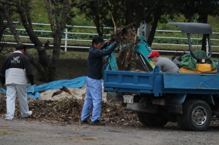 Img_3585 Img_3585