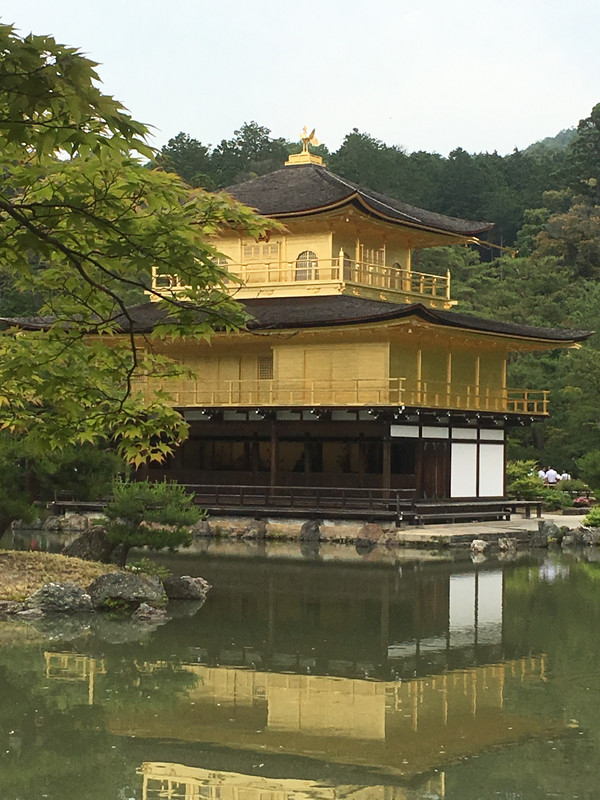Image_8