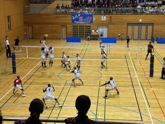 Thumbnail_img_3217