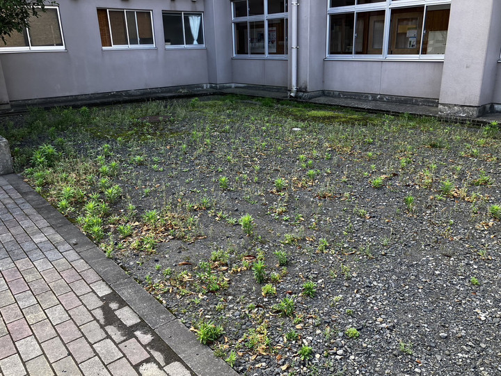 Photo_3