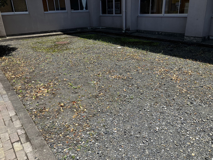 Photo_5