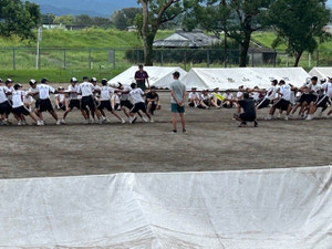 Thumbnail_img_4015