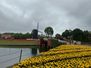 Photo_10