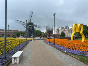 Photo_14