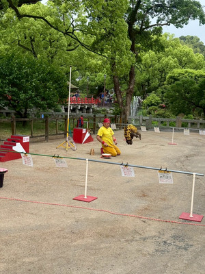 Photo_9