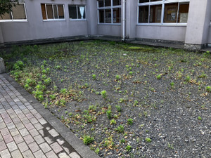 Photo_3