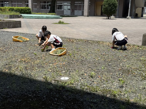 Photo_4
