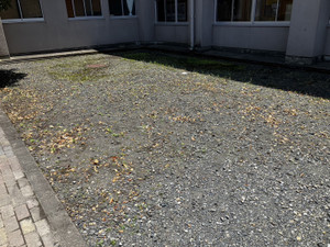 Photo_5