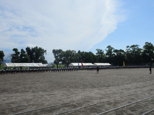Photo_3