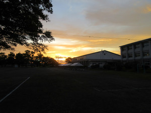 Photo_3