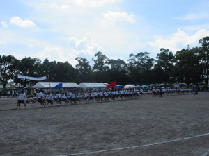 Photo_12