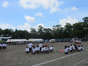 Photo_7
