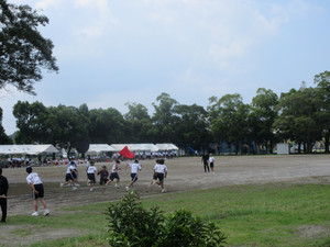 Img_4293 Img_4293