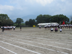Img_4296 Img_4296